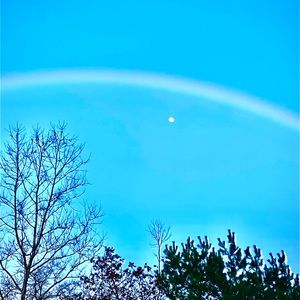 Meet your Posher, Lee